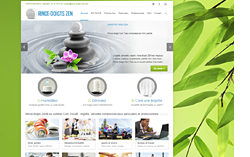 developpement web -sites vitrines et commerce en ligne